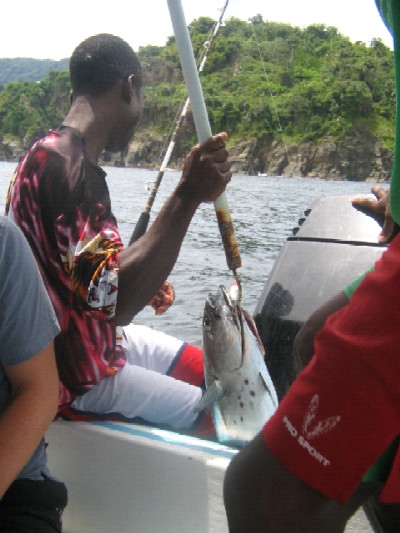 Fishing, Sea, Castara, Tobago